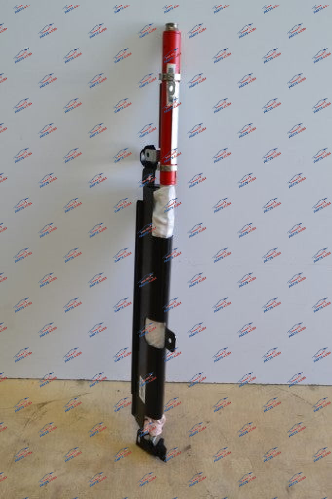 Ferrari 458 488 Airbag Door Right Side Oem Part Number: 87805700