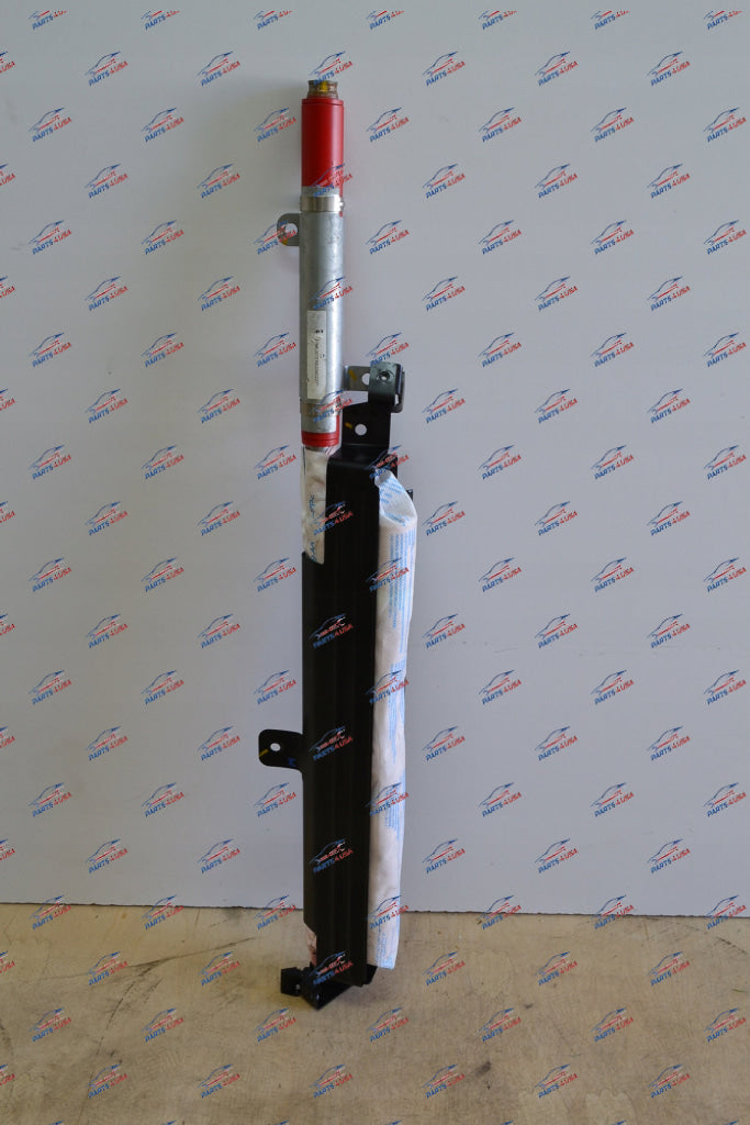 Ferrari 458 488 Airbag Door Right Side Oem Part Number: 87805700