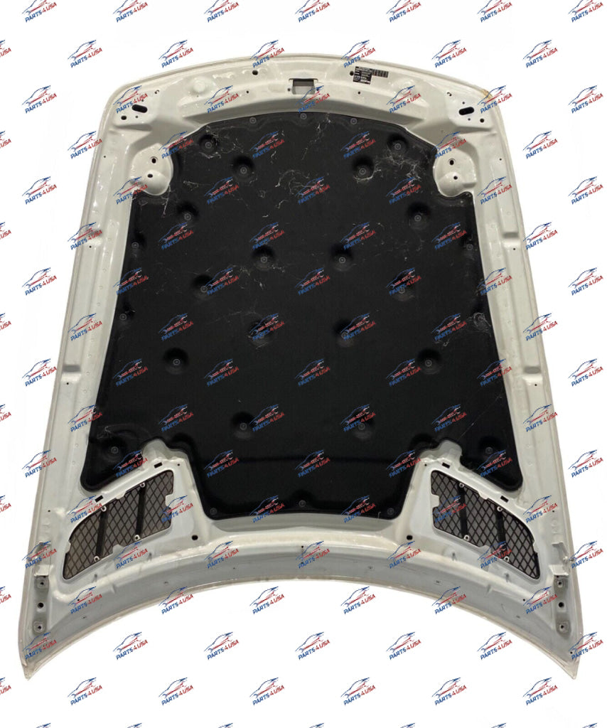 Mercedes Benz Sls Amg Front Hood Part Number: A197003089