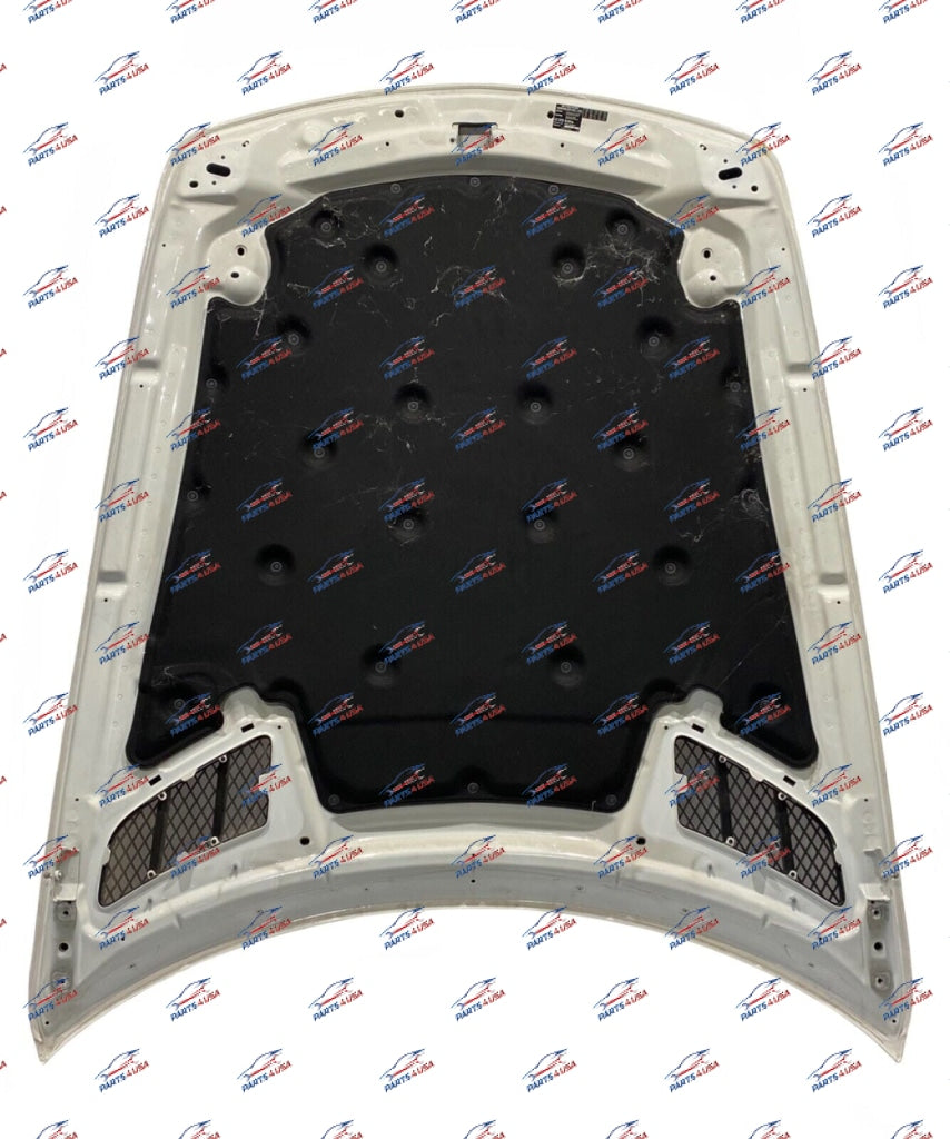 Mercedes Benz Sls Amg Front Hood Part Number: A197003089