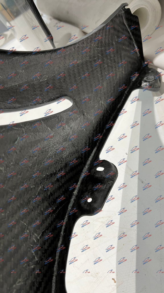 Porsche GT2RS / GT3RS fenders and front hood Carbon OEM Part - Front hood